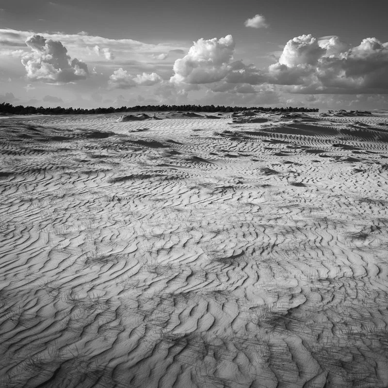 Hoge Veluwe 11.jpg