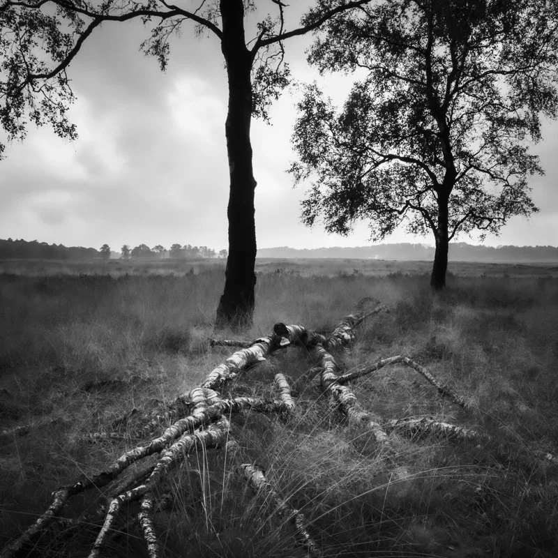 Hoge Veluwe (2 van 14).jpg