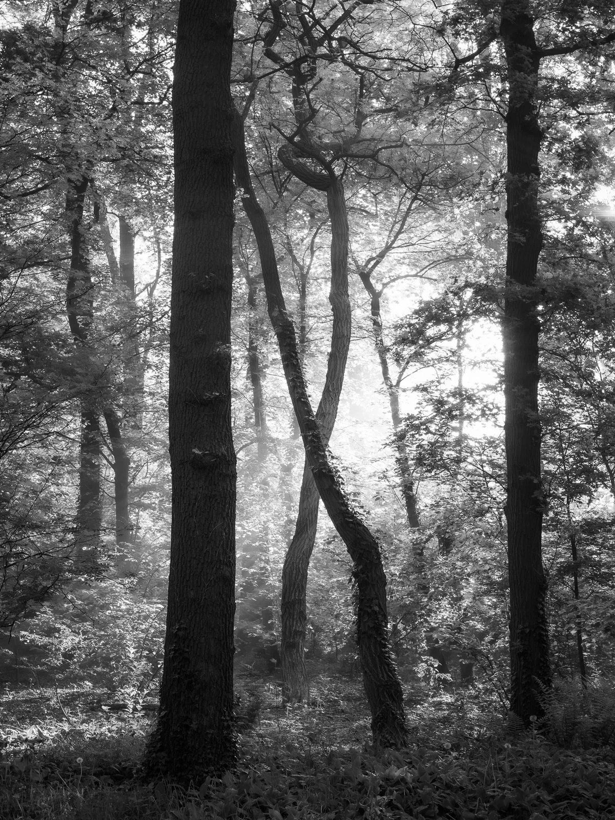 DSC_4573.jpg