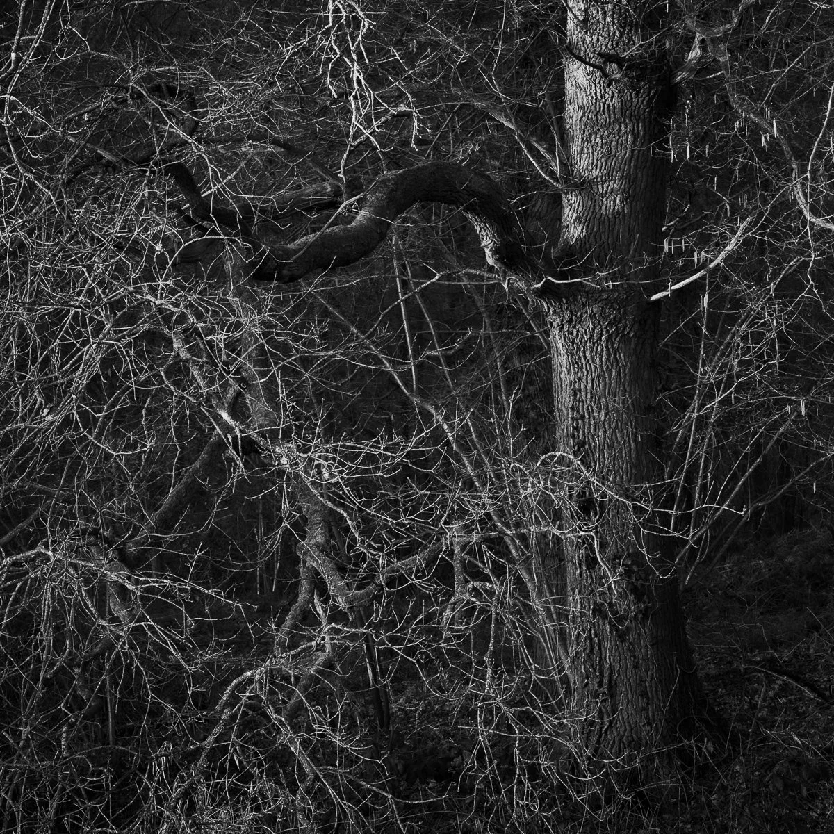 DSC_7076.jpg