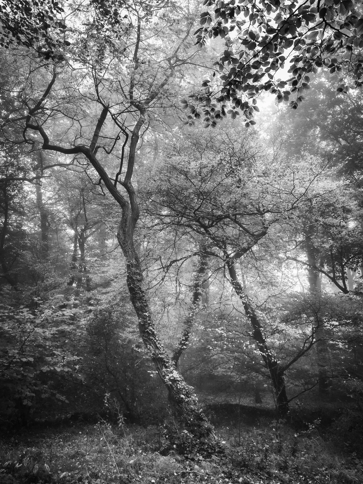 DSC_6716.jpg