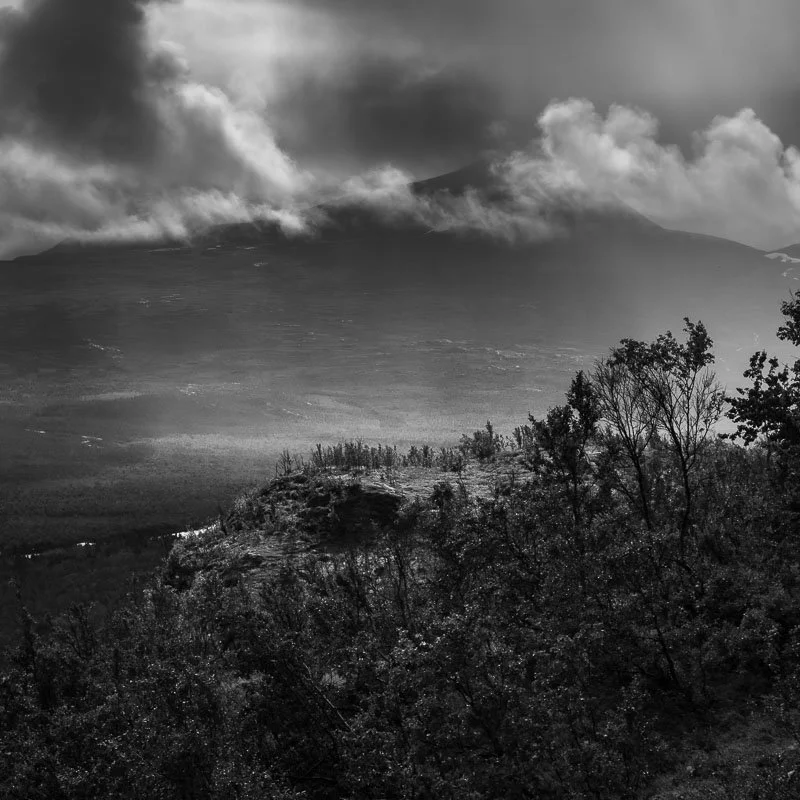 L1003566.jpg