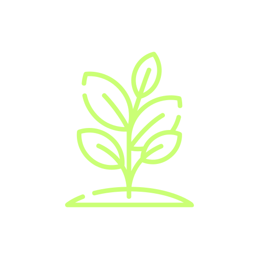 Illustration of a green plant with leaves growing from the ground on a black background.