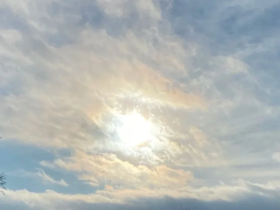 Zwischen Wind und Wurzeln zu Hause ankommen -1/55Thoughts