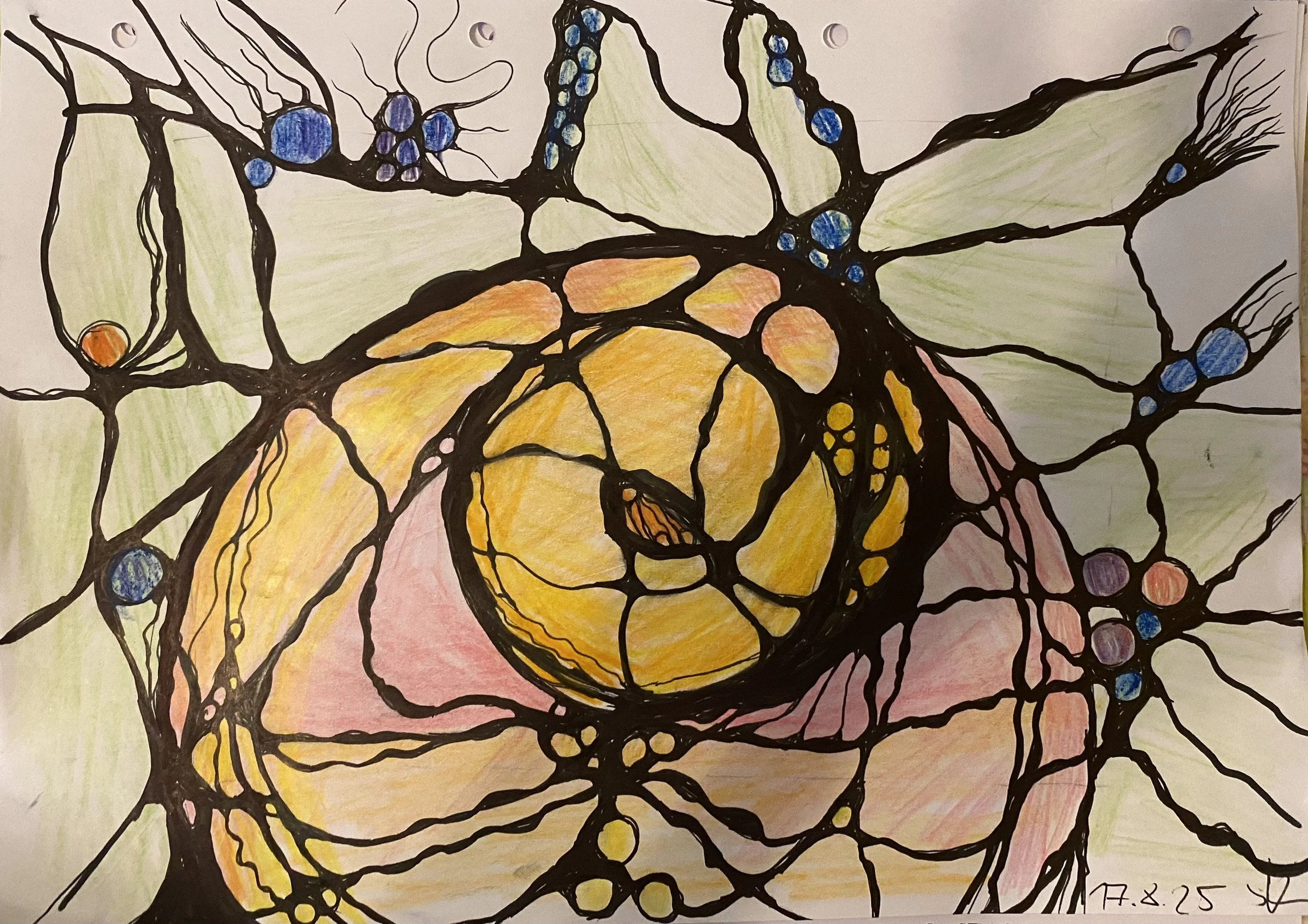 NeuroGraphik entdecken