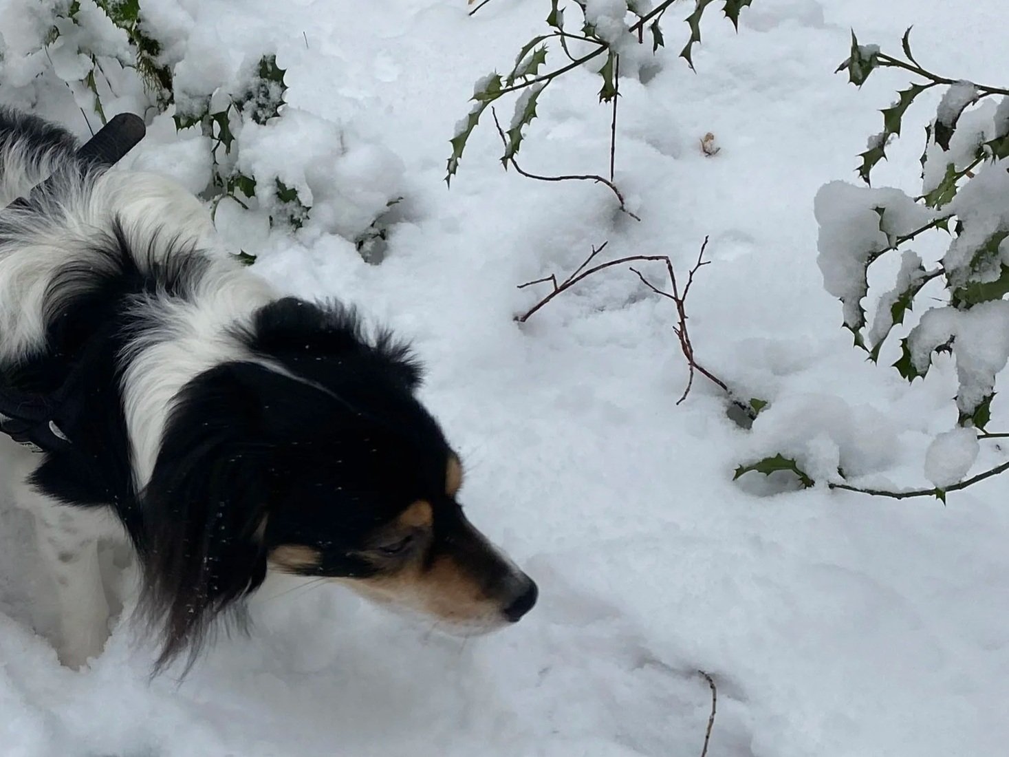 Innerer Kompass – fernab der Logik - 3/55 Thoughts