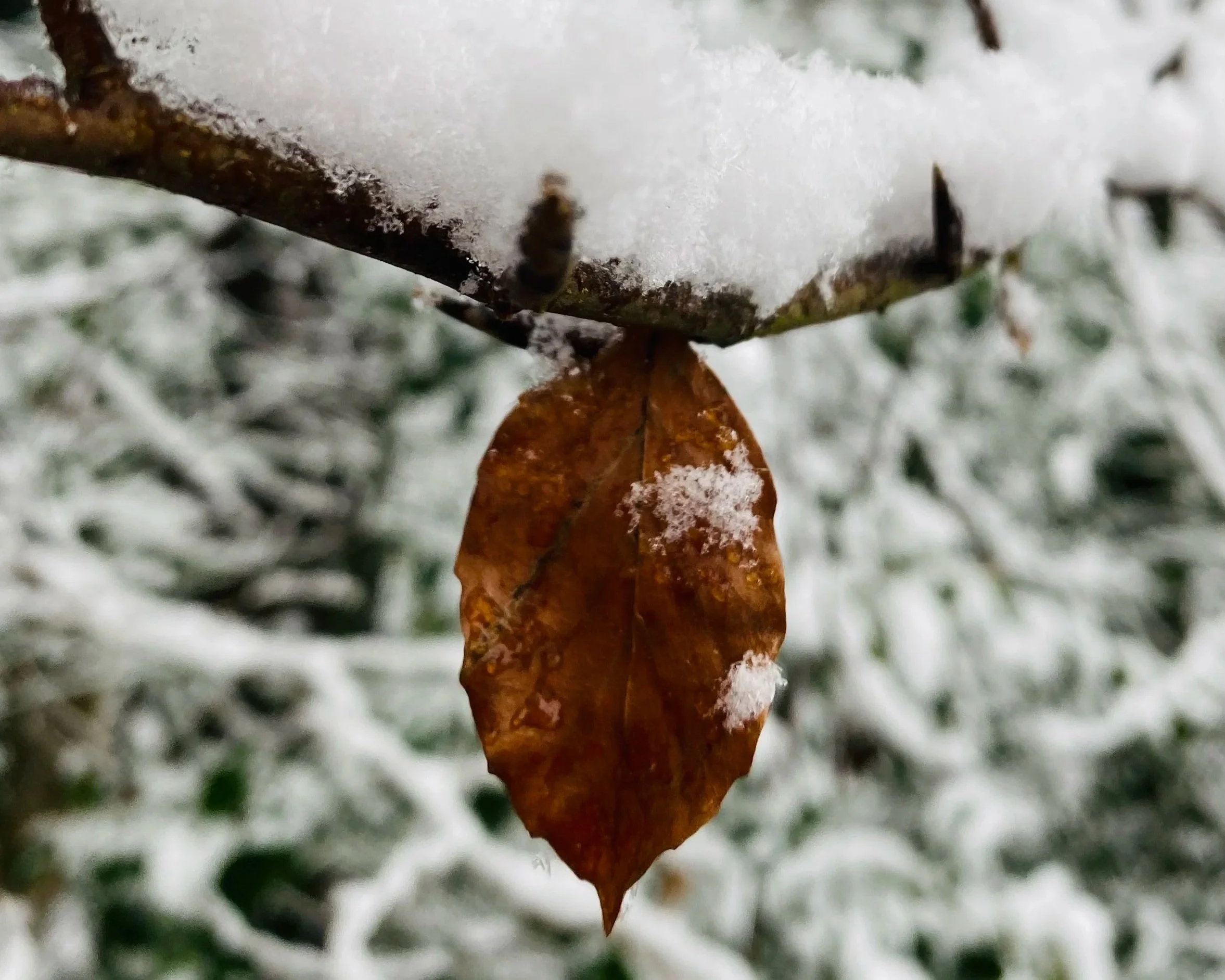 Über die Schwierigkeit, einfach zu leben- 7/55Thoughts