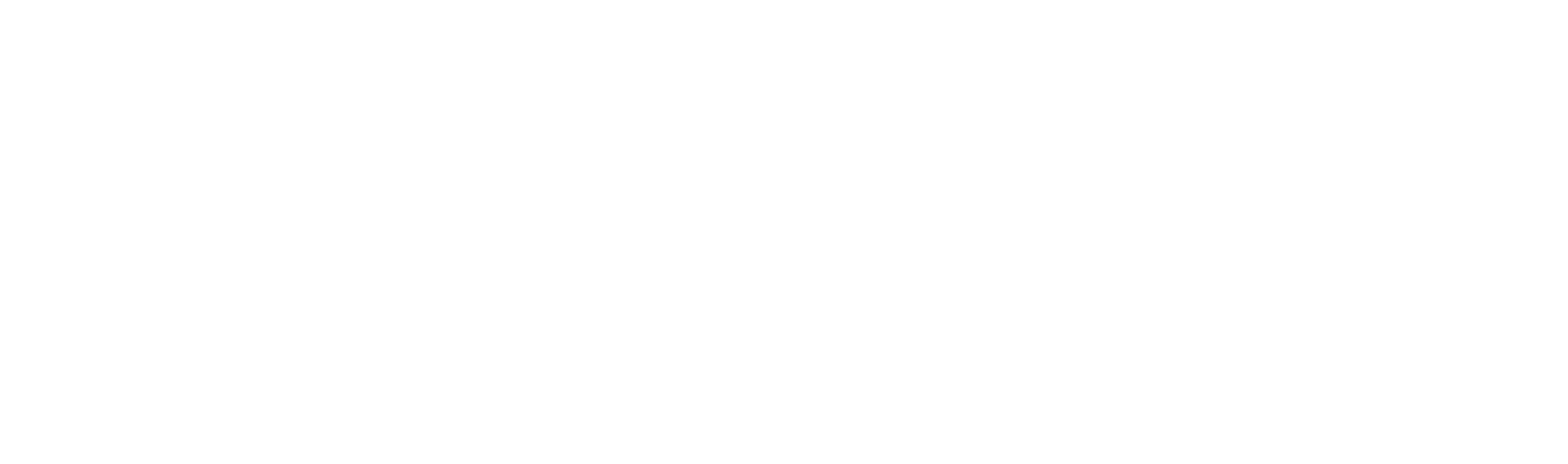 Celtio Logo