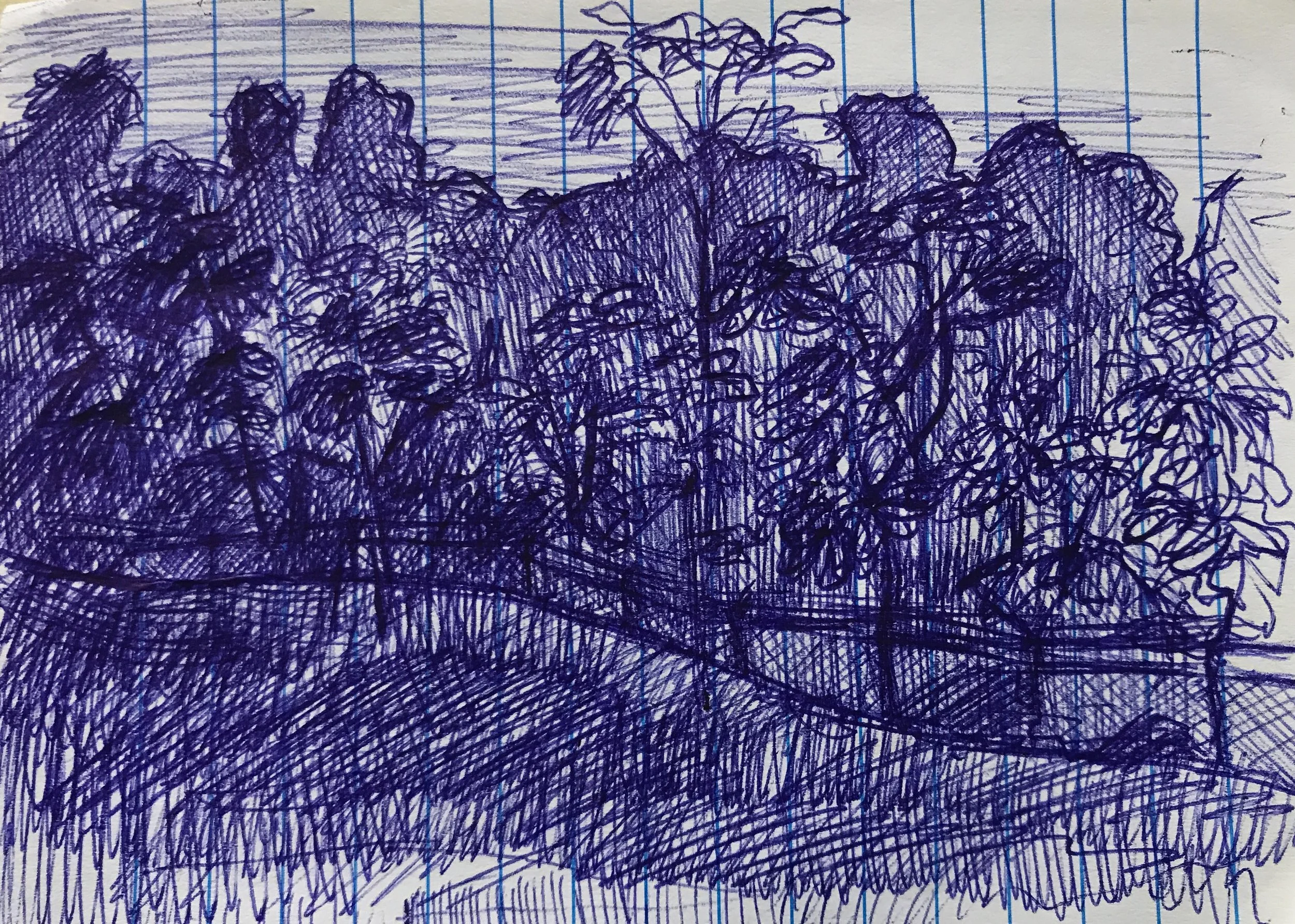 A sketch of trees and a landscape, drawn with blue ink on lined notebook paper, with cross-hatching and scribbled lines.