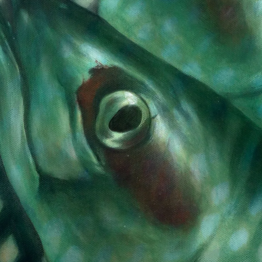Close-up of a fish's eye with a greenish body and red markings.