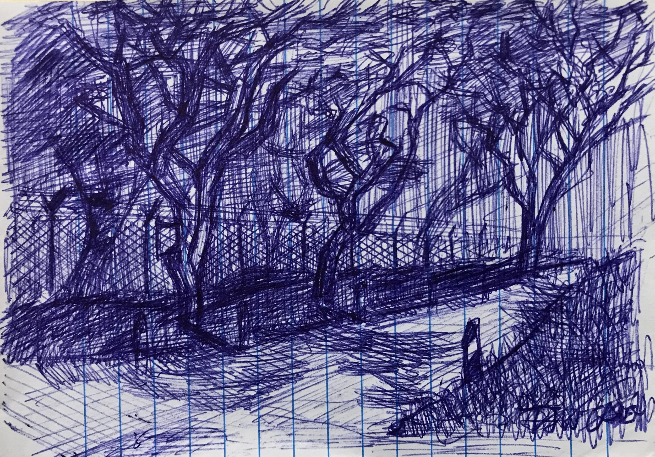 A sketch of trees and a wooden fence in a yard, drawn with dark ink on lined paper.