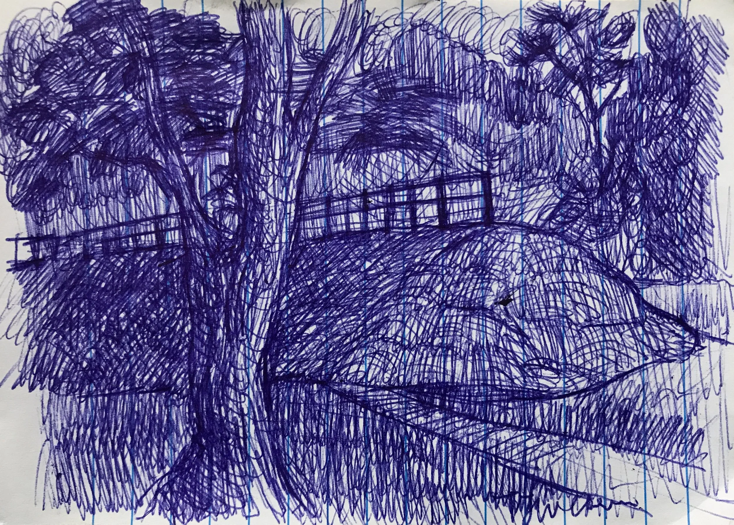 Scribbled drawing of trees, a small bridge, and a pond with surrounding foliage, created with purple ink and blue lines.