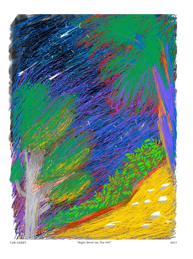 Colorful abstract drawing of a nighttime outdoor scene featuring a large tree with green leaves, a pathway with white dashes, and a sky filled with swirling dark blue, black, and white strokes, representing stars or the night sky.