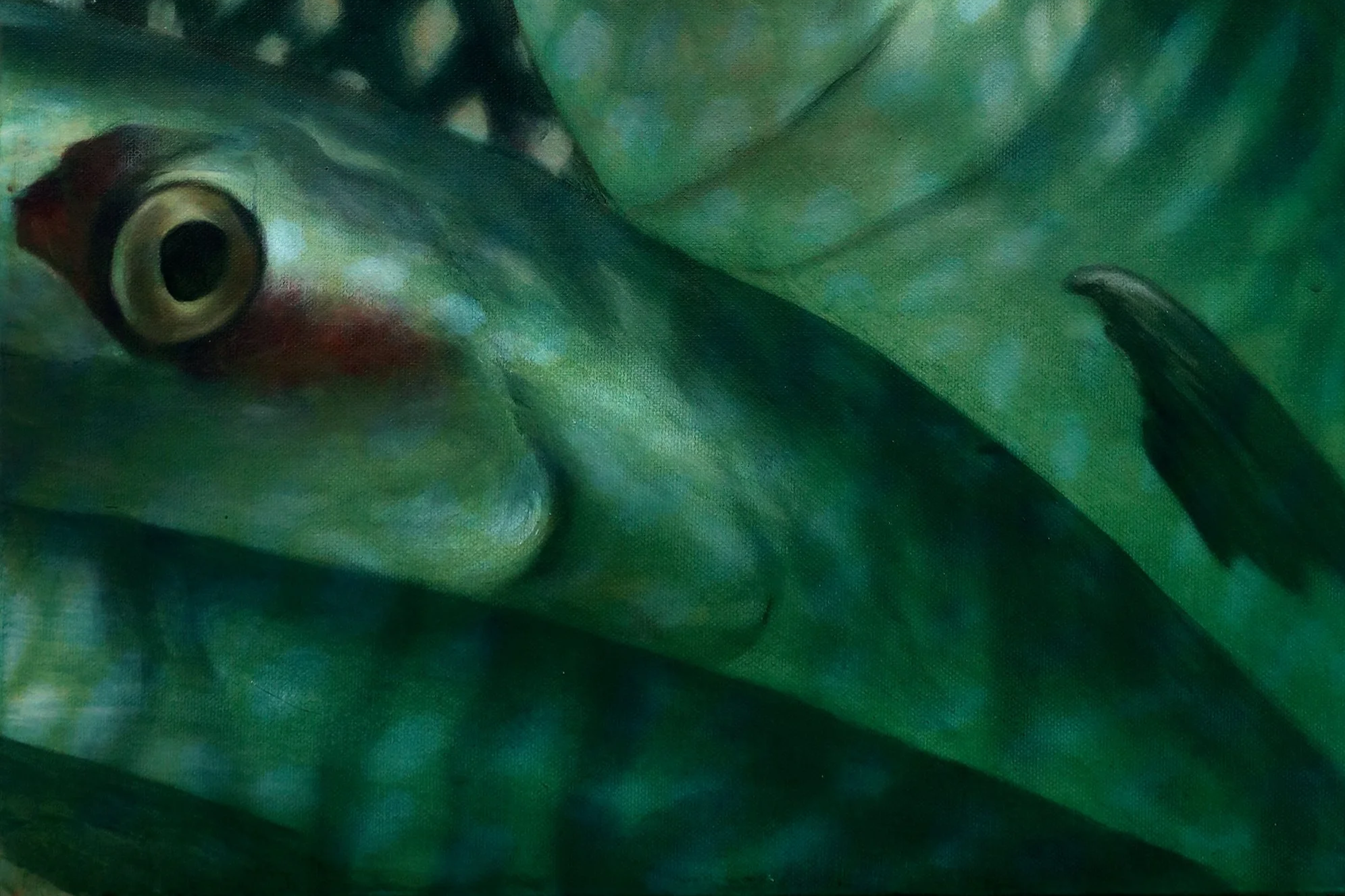 Close-up of a green frog with a detailed eye, blending into green leaves.