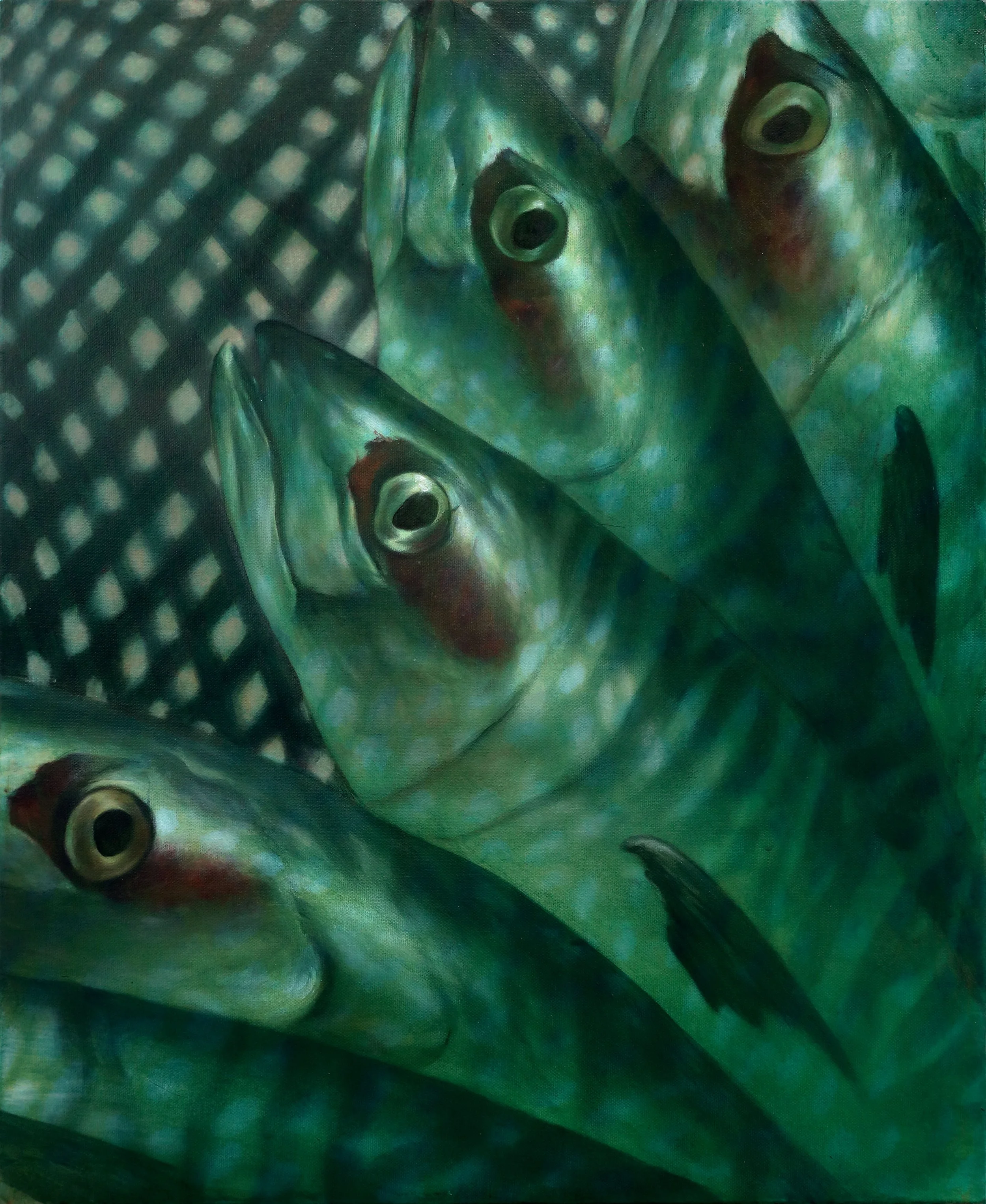 Close-up of three fish with greenish skin and large eyes, resting on a dark, grid-patterned surface.