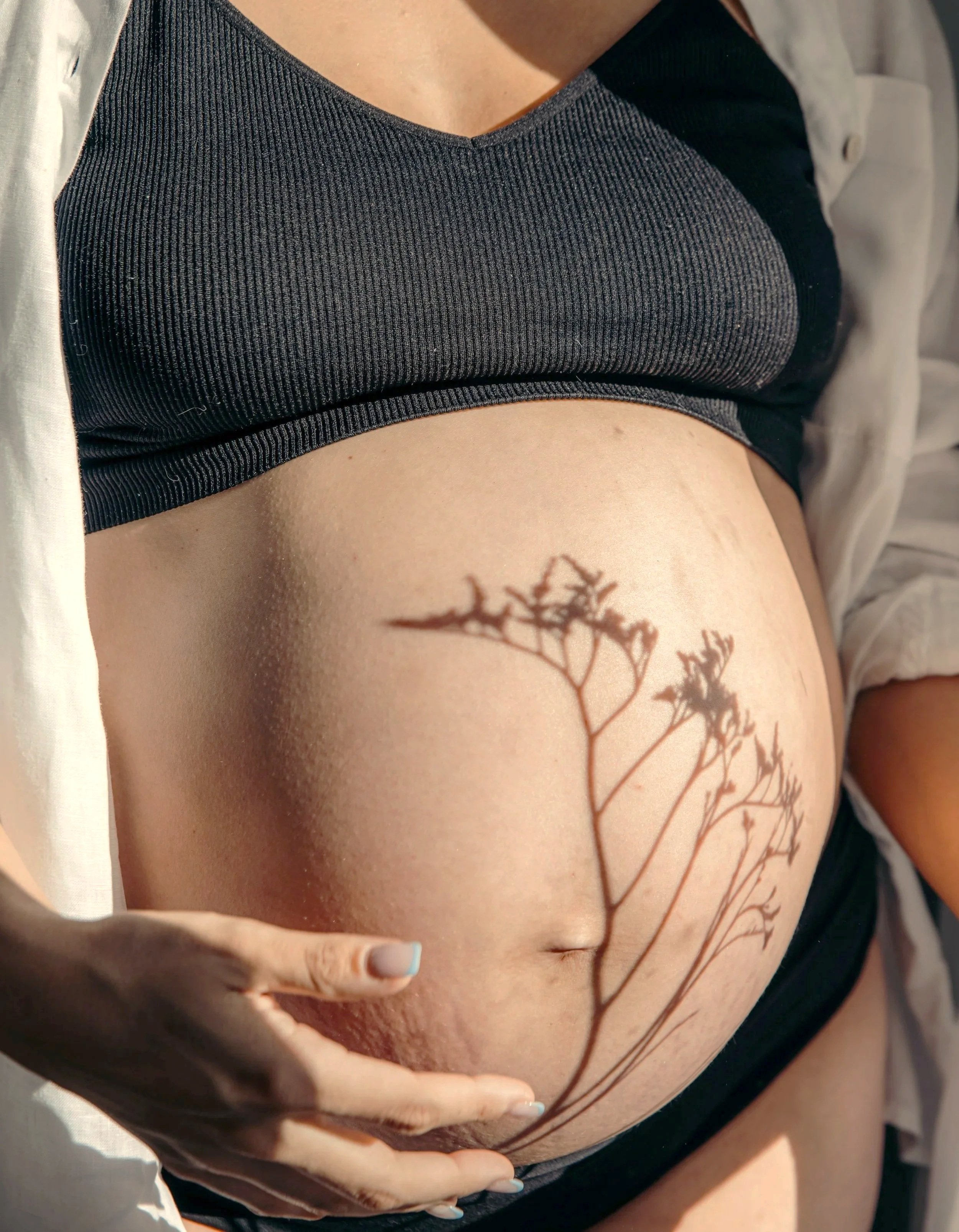 Close-up of a pregnant belly with a shadow of a plant cast on it, wearing a black ribbed top and an unbuttoned white shirt.