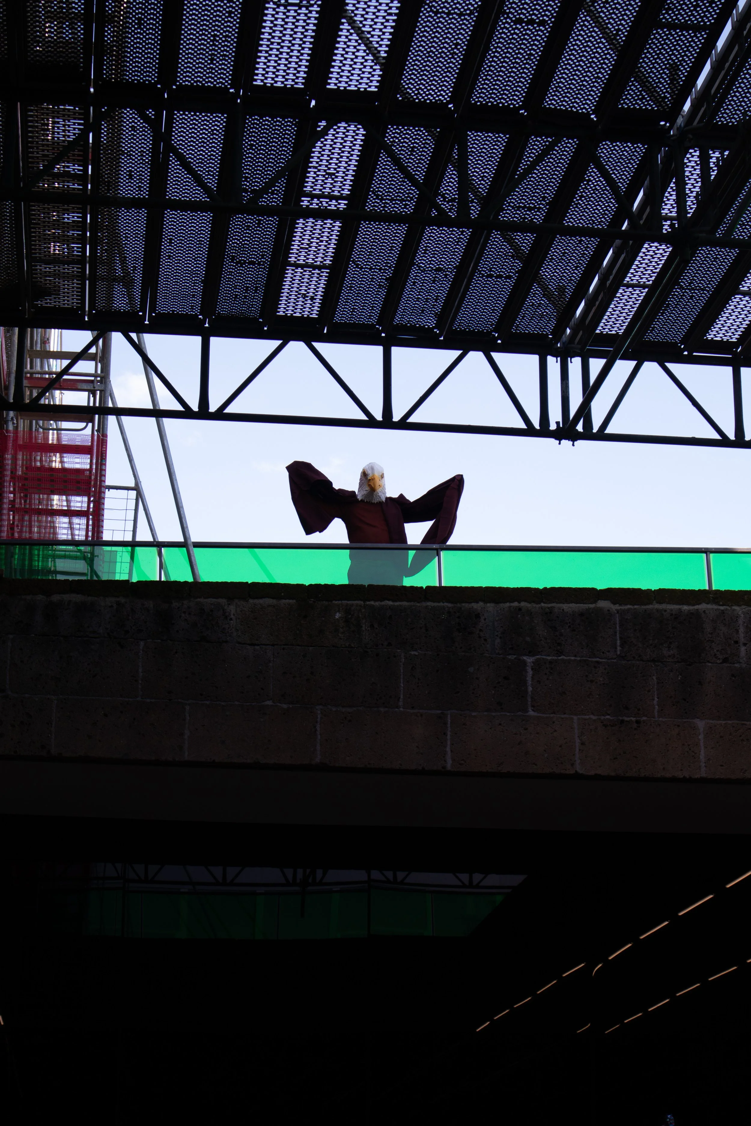 603162846-img_3478.jpg
