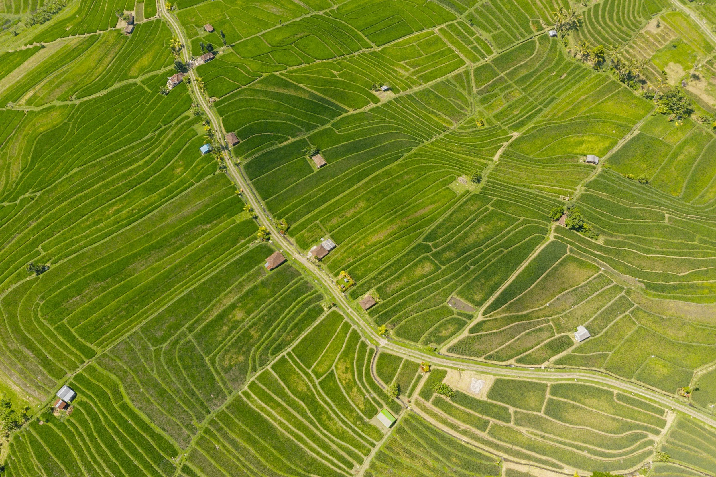 Pickering Lands for Agriculture April 15, 2026