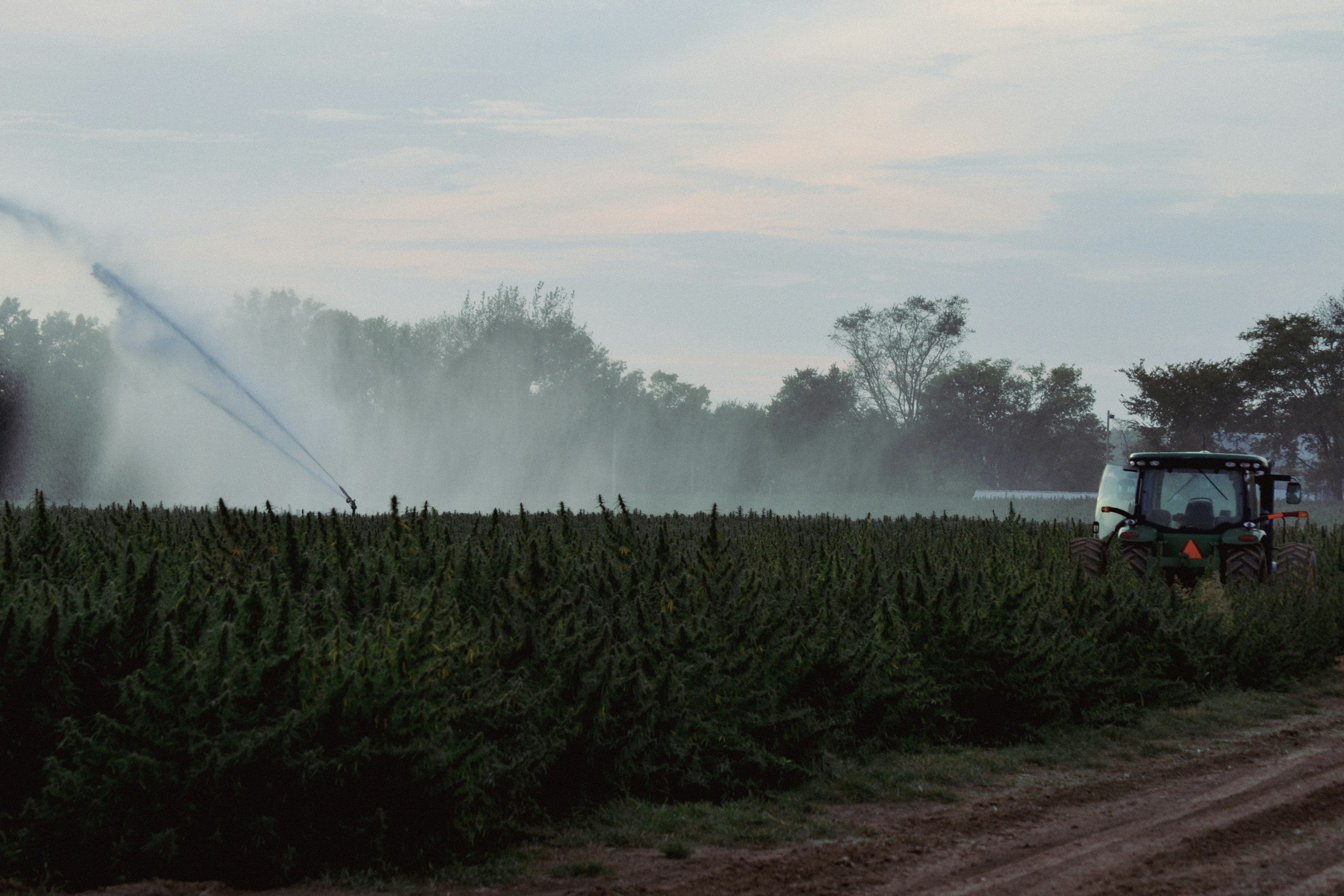 Regulatory Proposals (Phase 1) under the Conservation Authorities Act
