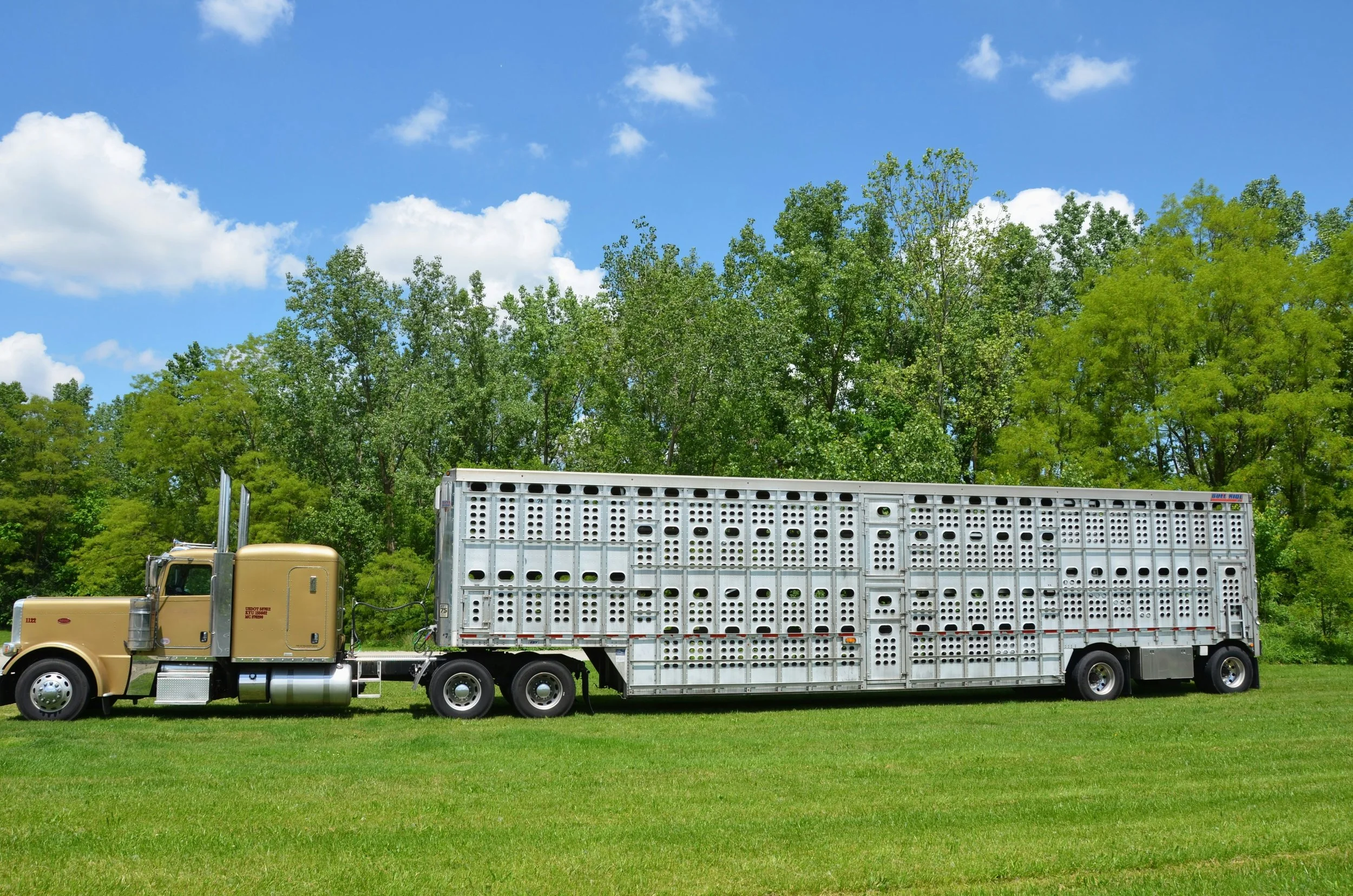 CFFO applauds the court of appeal for upholding the Ontario’s Security from Trespass and Protecting Food Safety Act