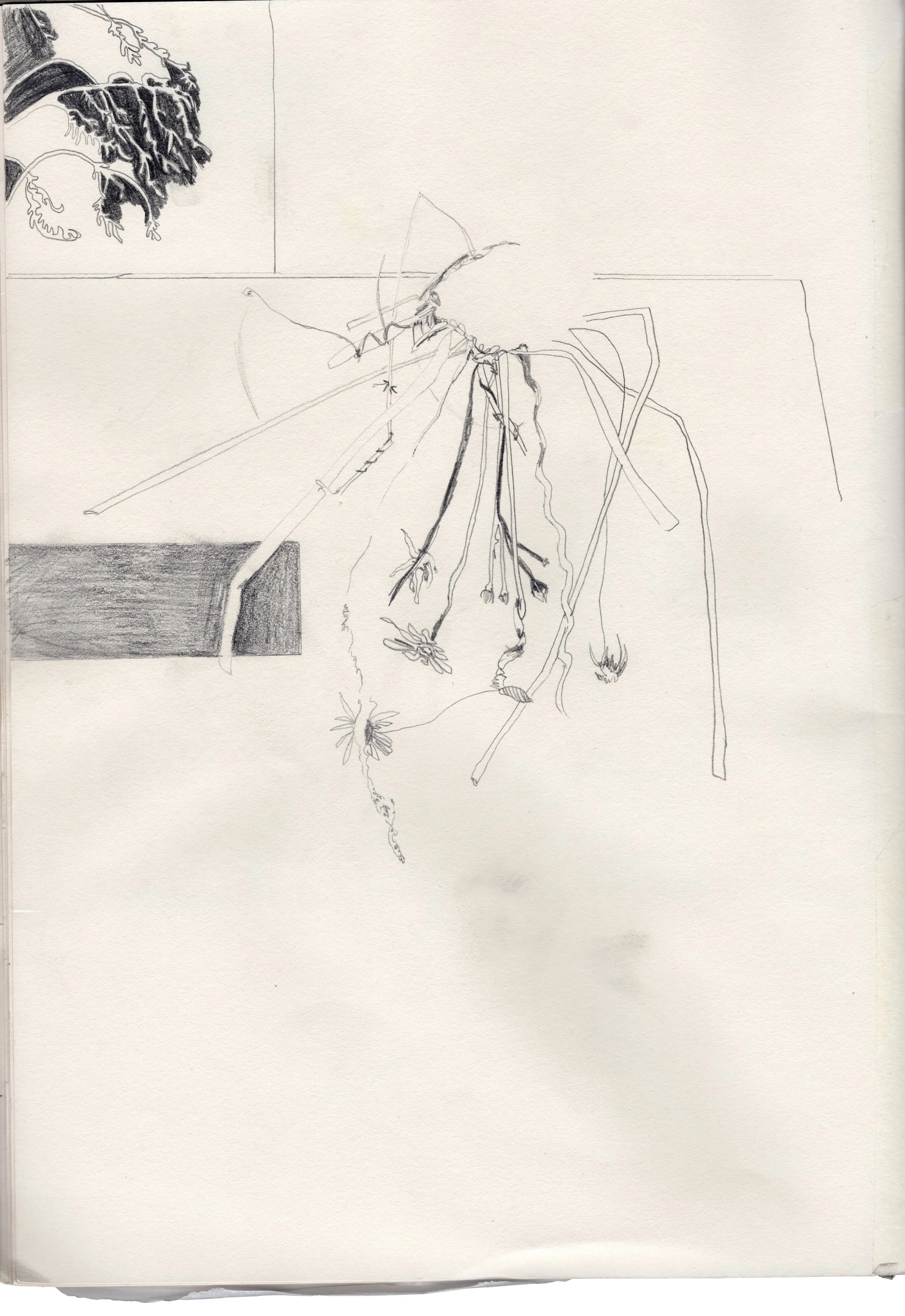 Skizze eines abstrakten, gestreckten Stängels mit Blüten und Gräsern. Kleine, detaillierte Zeichnungen in der oberen linken Ecke, inklusive eines unvollständigen Blattes und eines dunklen Rechtecks. Floral- und Naturthema auf weißem Hintergrund.