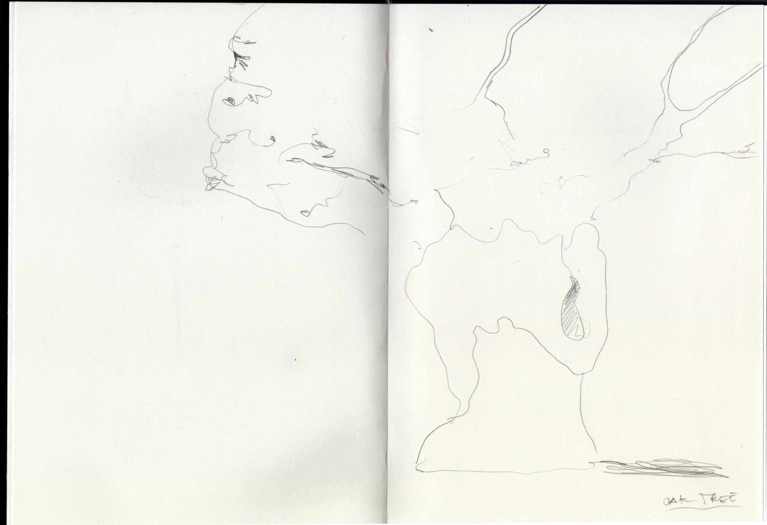 Skizze einer Weltkarte in einem Notizbuch, mit Europa im linken Teil und Australien im rechten Teil, unten rechts steht 'oak tree' geschrieben.
