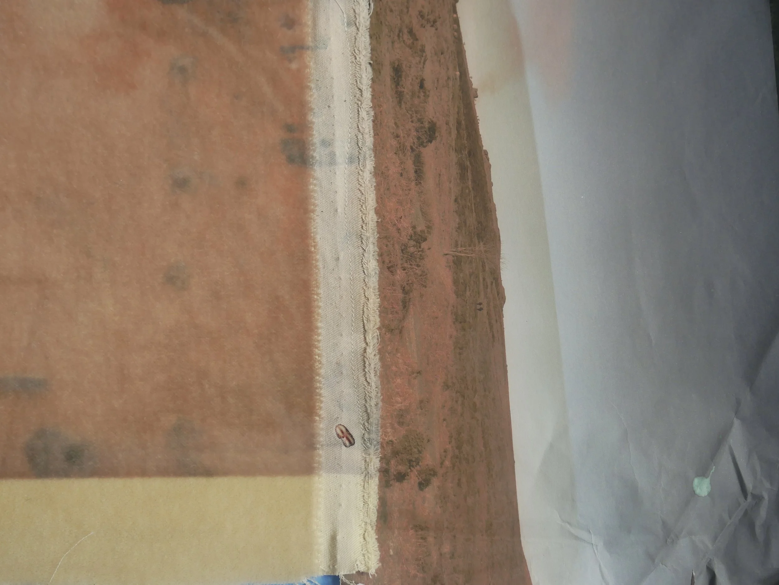 C1DA1E75-673A-4EDA-9184-148DC4CE05E7_1_201_a.jpeg