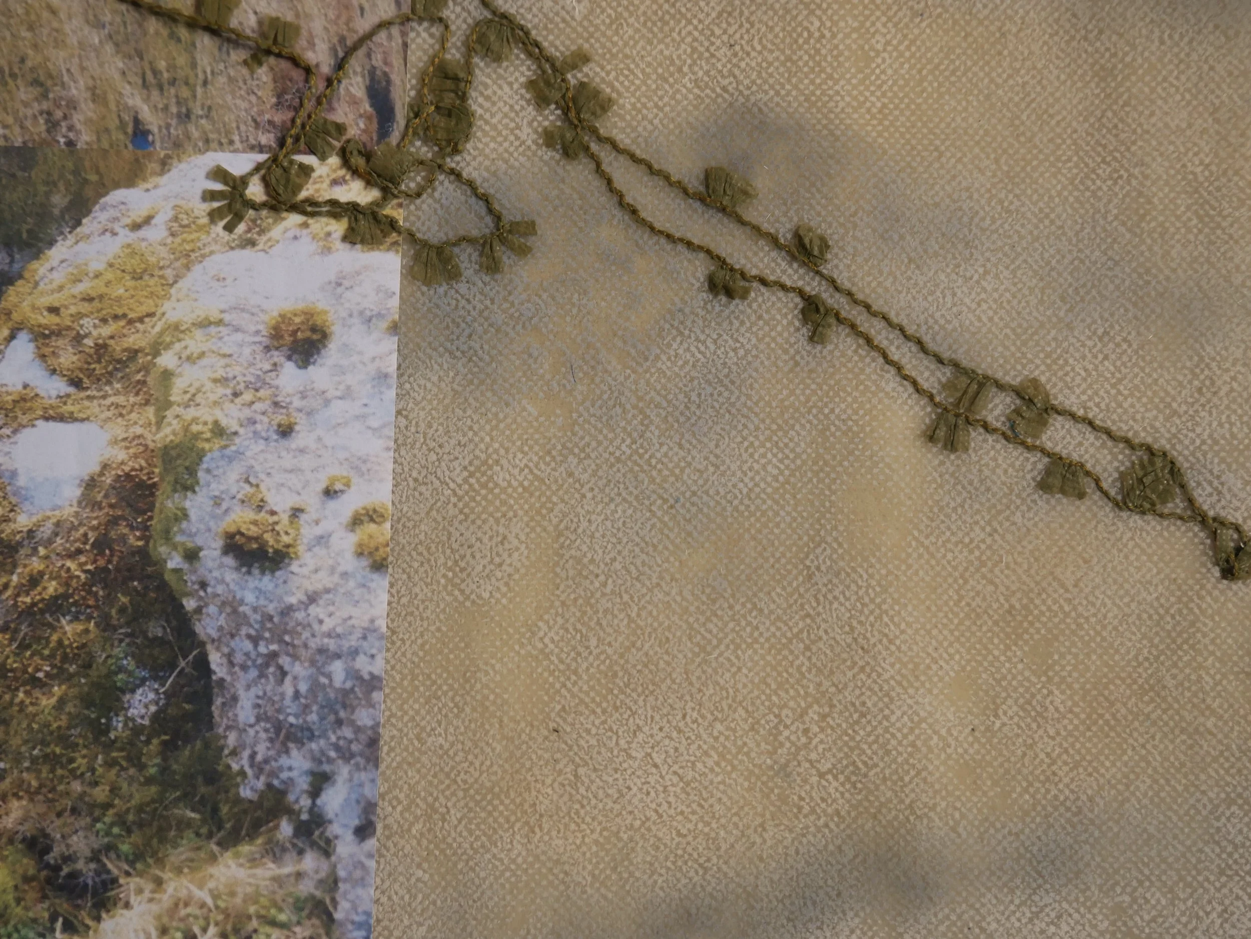 D52A18C3-46F7-490B-B097-BB7AA268764F_1_201_a.jpeg