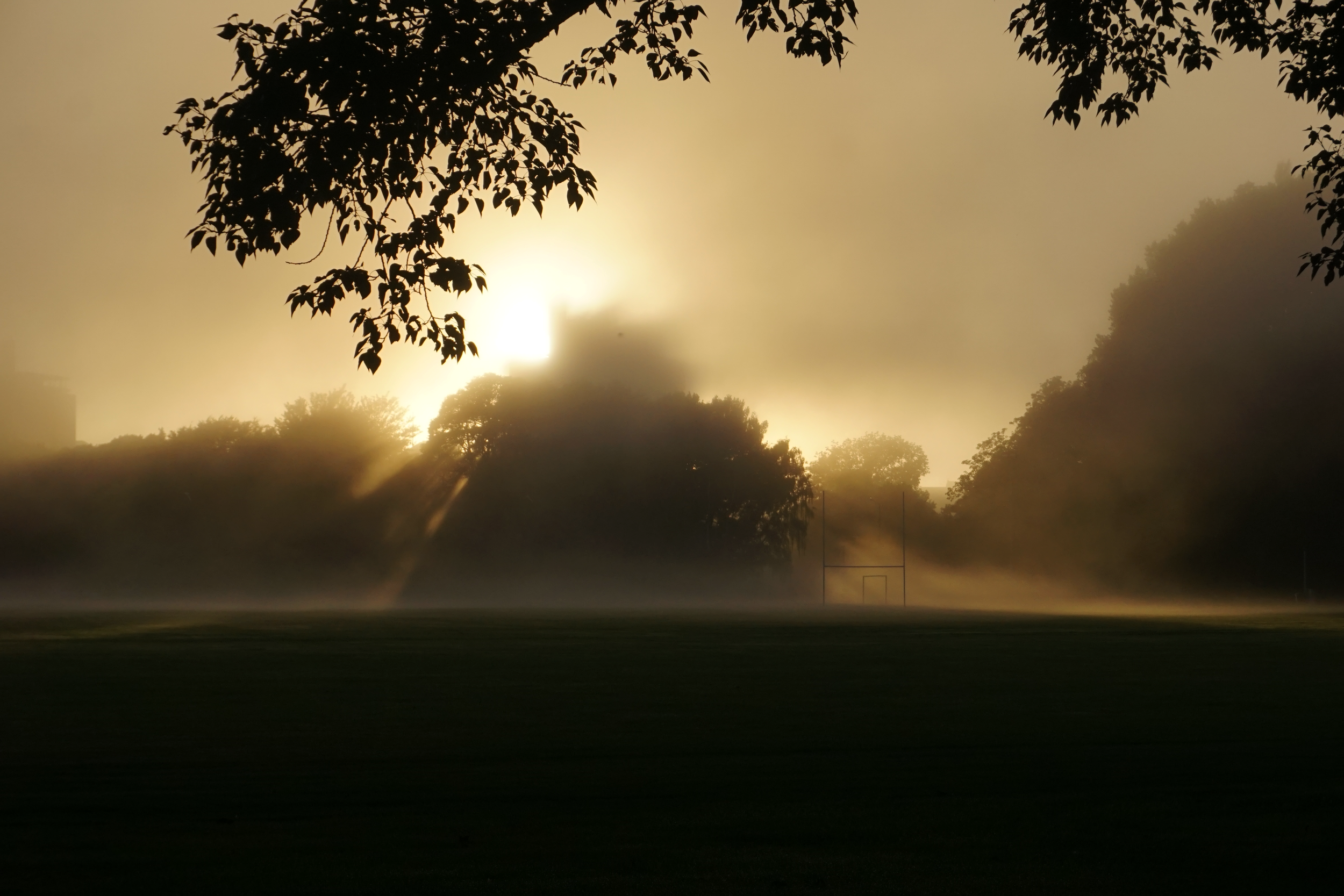 DSC09183.png