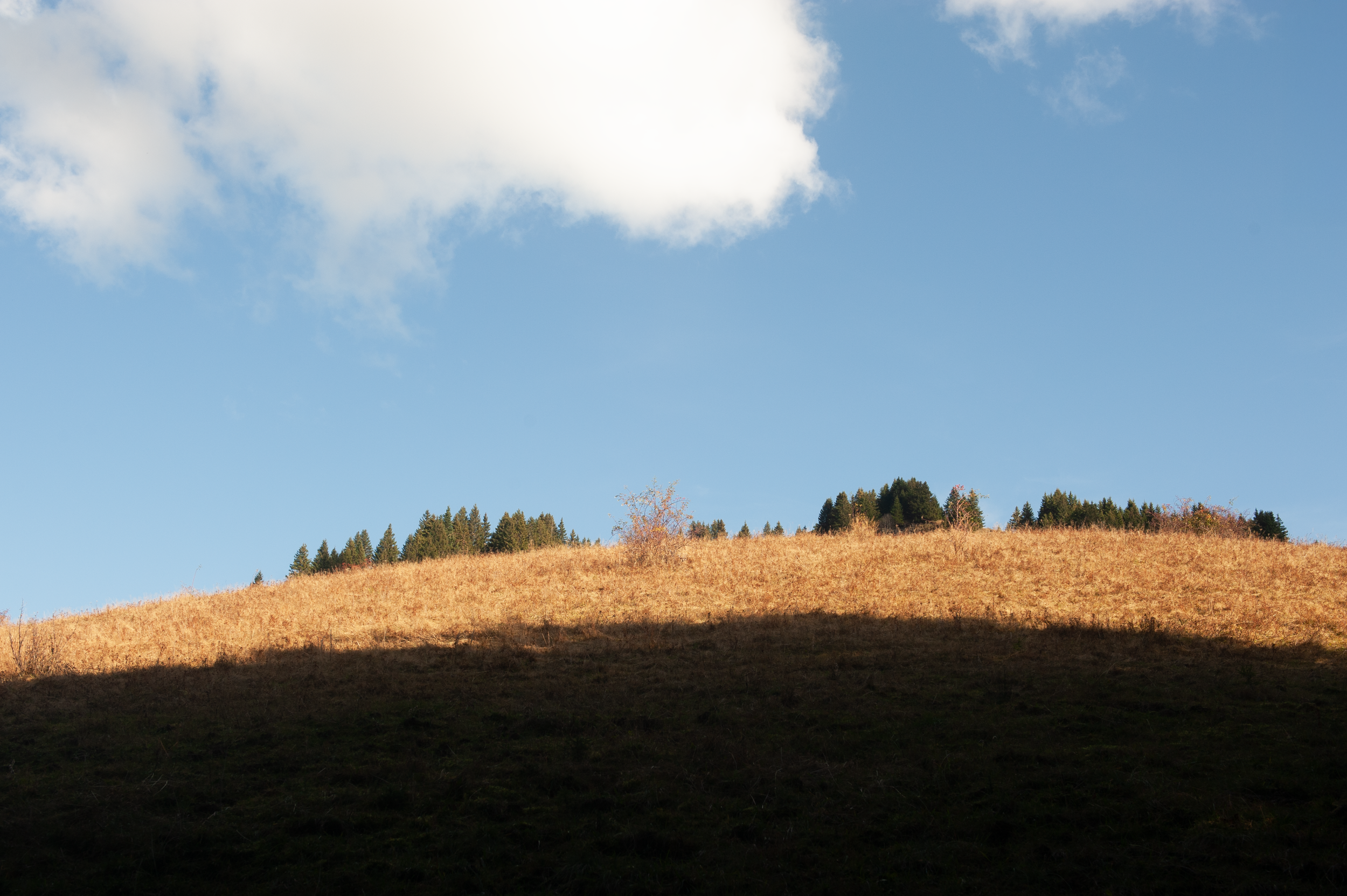 DSC_1718.png
