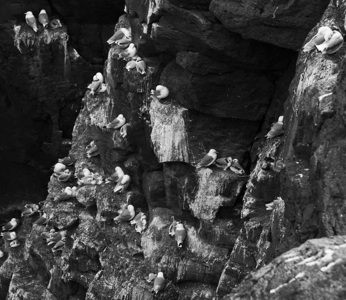Nick Barrow - Islande N&B n°15