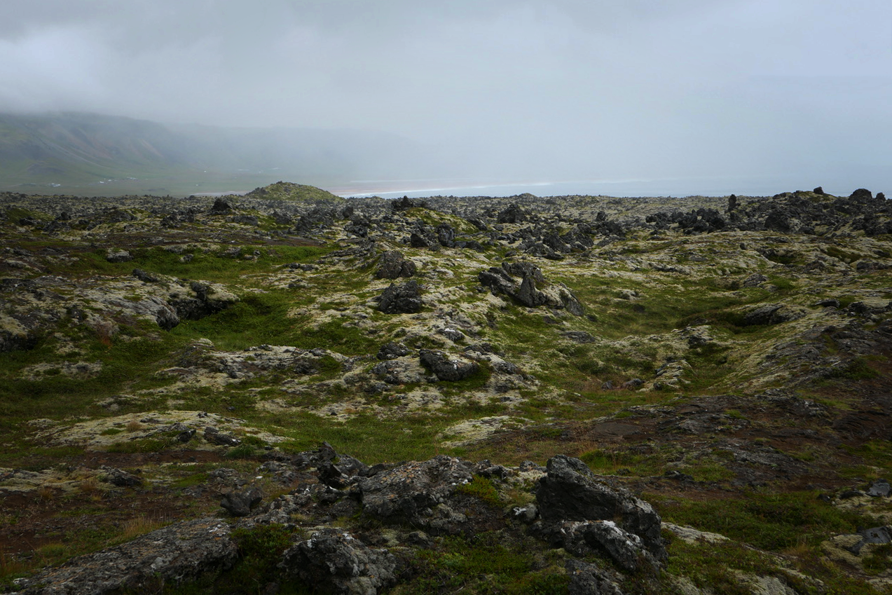 Ju Barrow - Islande n°03