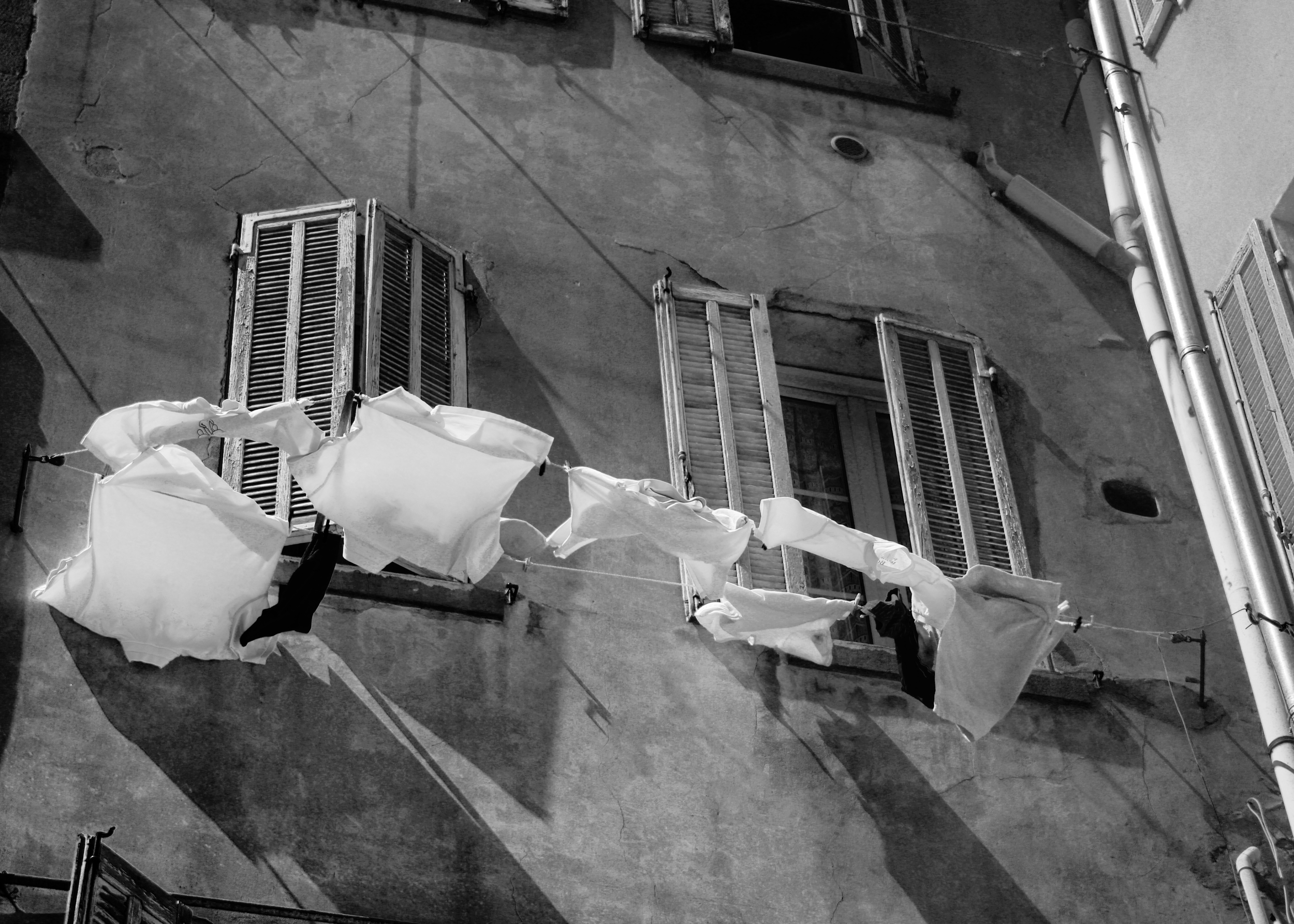 C. Barrow n°16