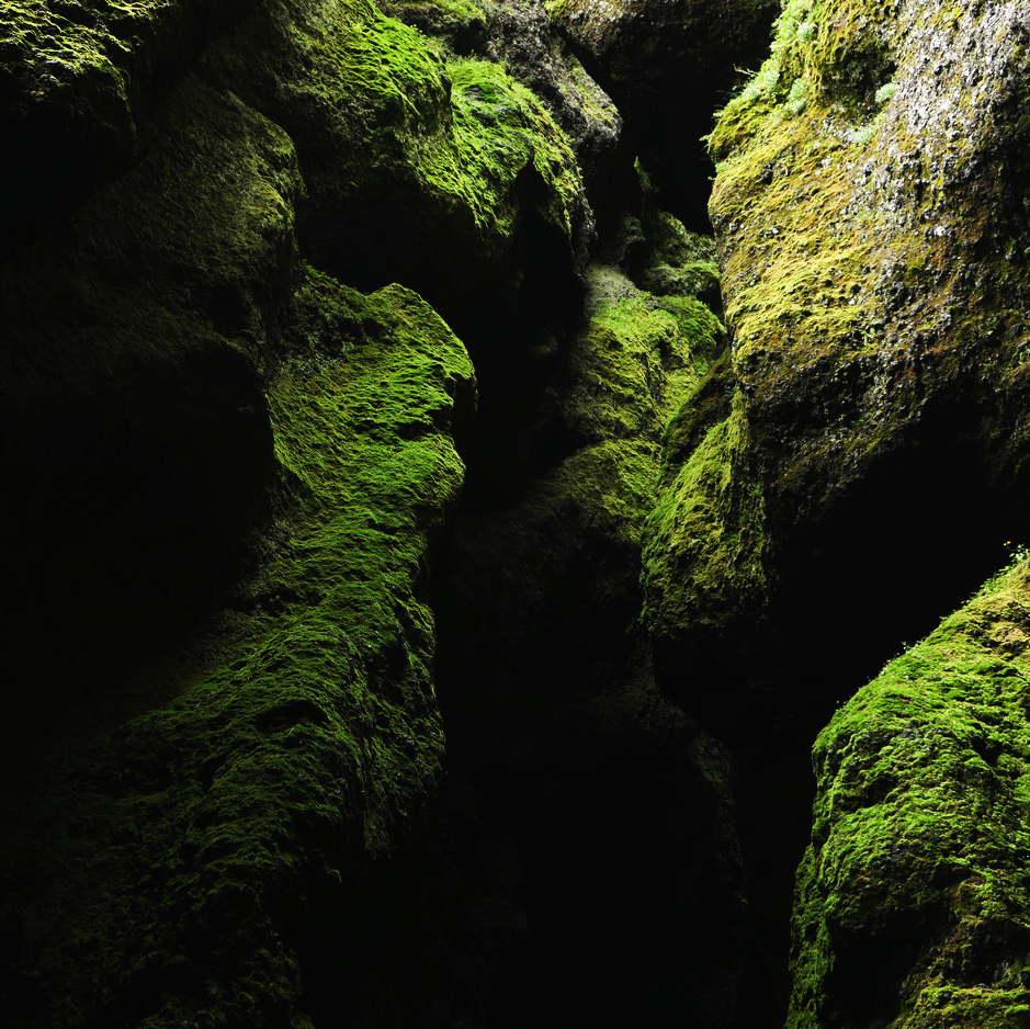 Ju Barrow - Islande n°09