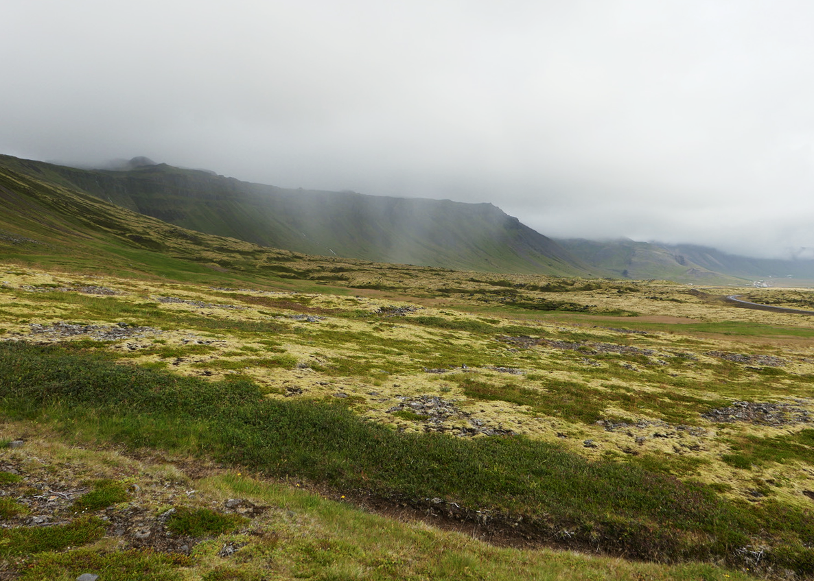 Ju Barrow - Islande n°07