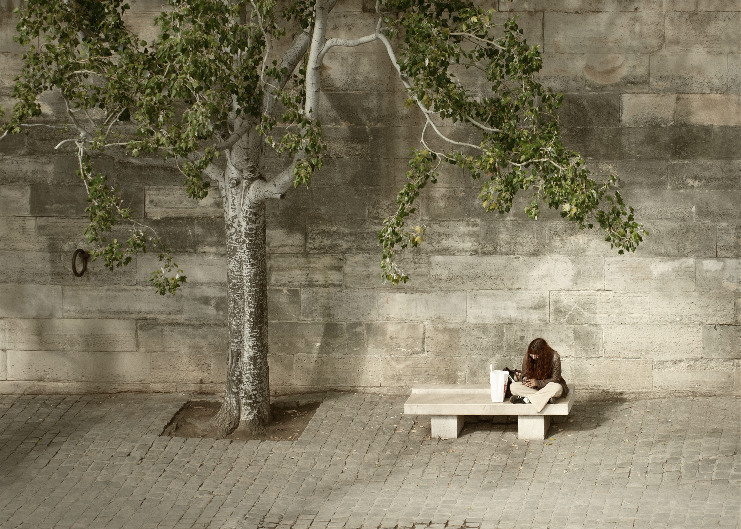 C. Barrow n°14