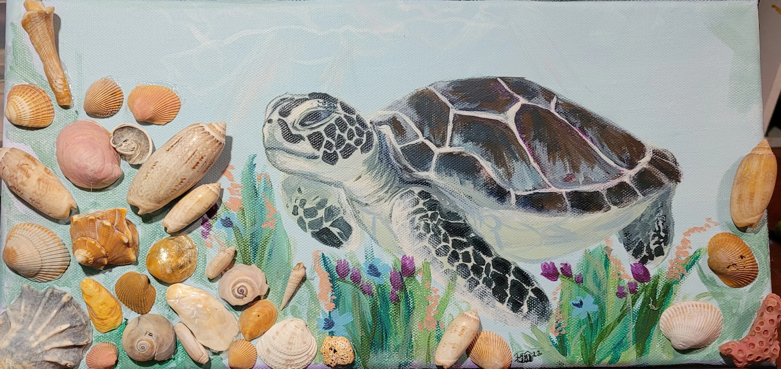Turtle with Shells