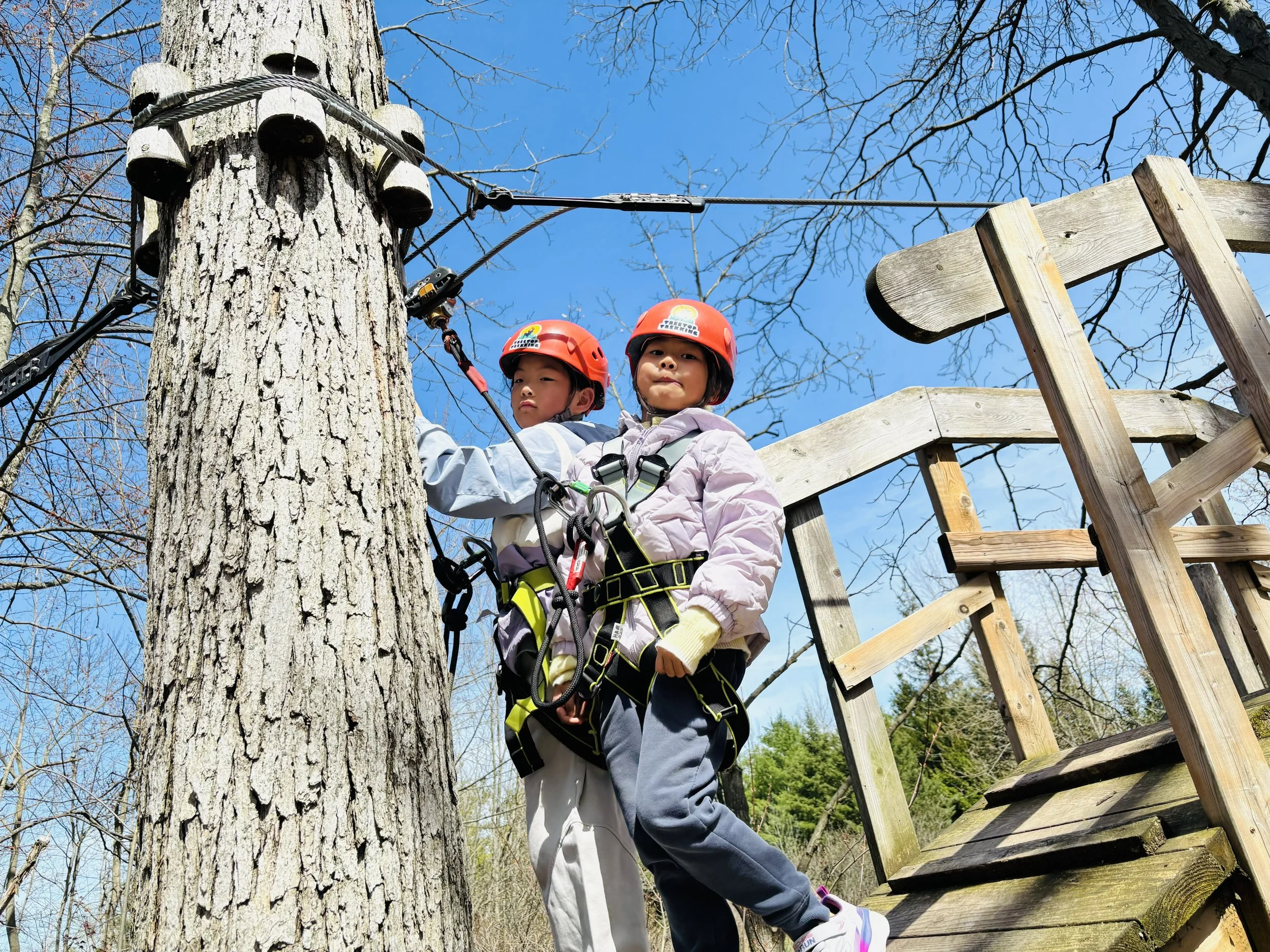 VLA TreeTop Adventure: Challenge yourself above the tree