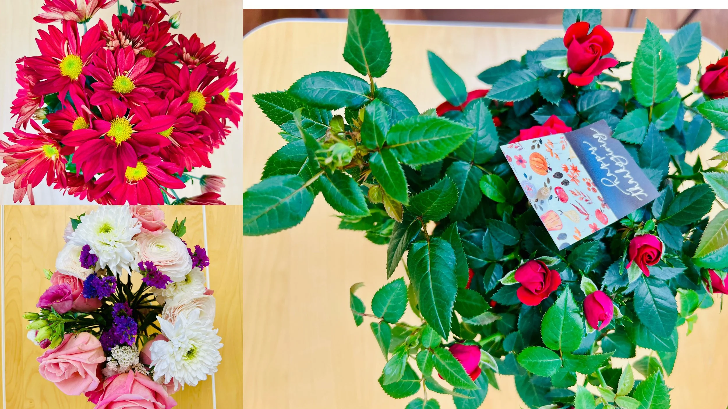 A knowing smile blossoms like flowers among all of us