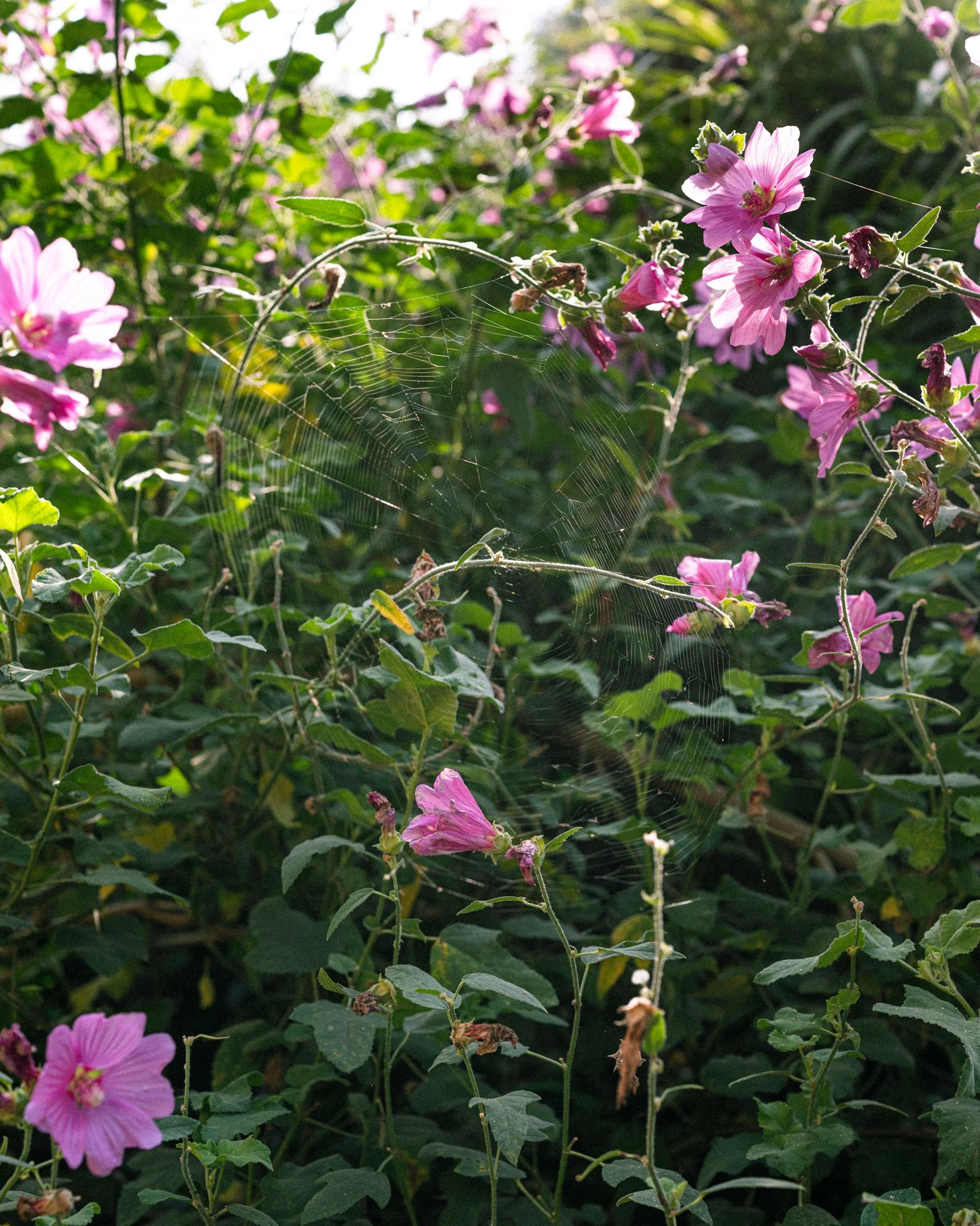 Stories by Eva Donckers LR-5633.jpg