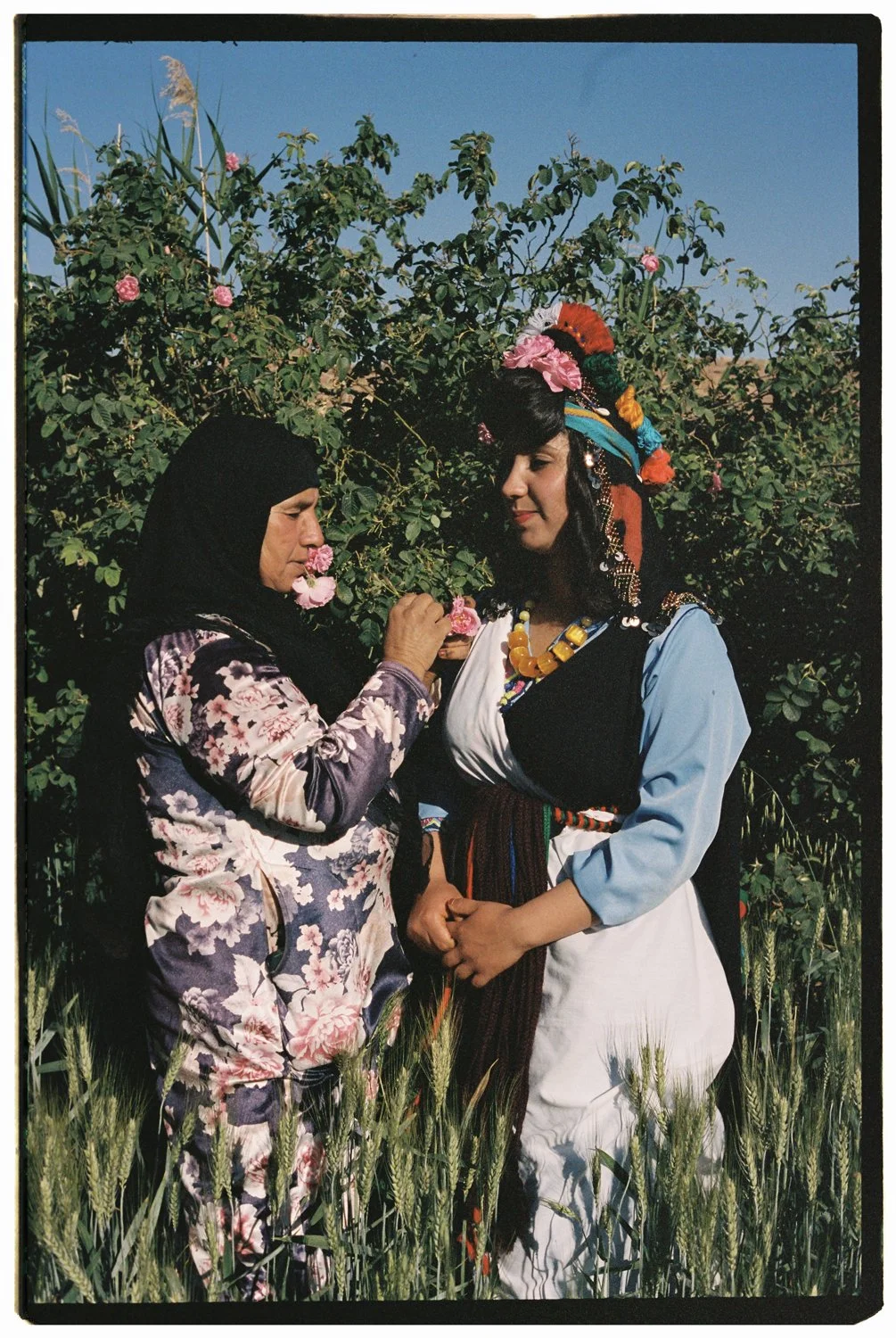 Rose Valley by Eva Donckers HR-6.jpg