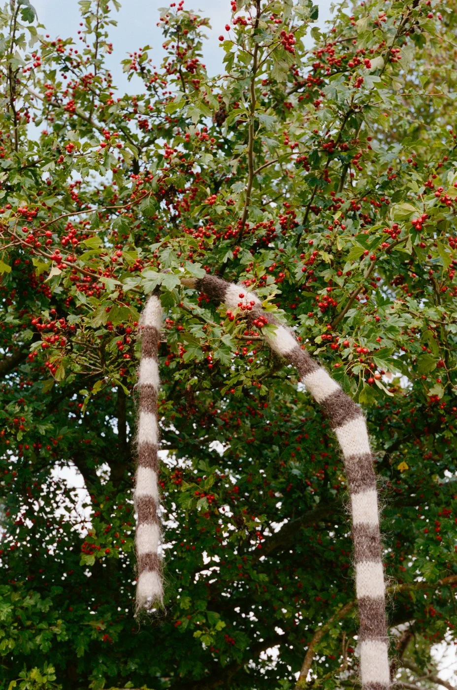 Hedestrik door Eva Donckers LR UNEDITED-000085030010.jpg