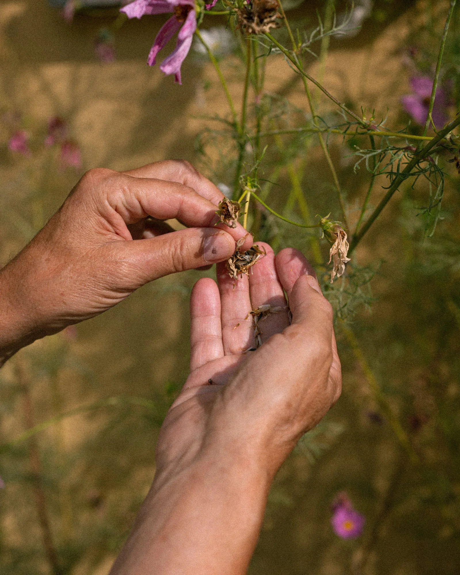 Stories by Eva Donckers LR-5535.jpg
