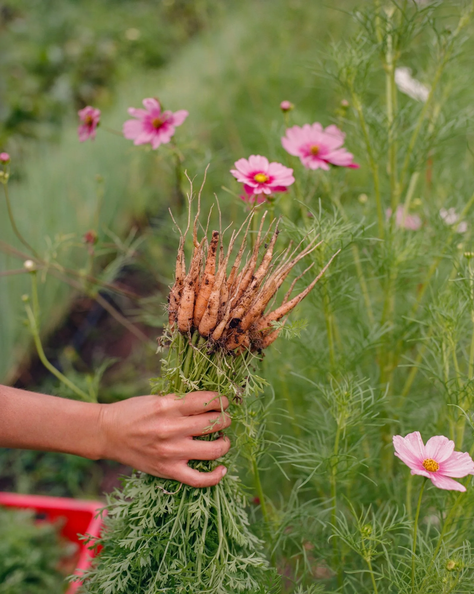 Stories by Eva Donckers LR-000013440009.jpg