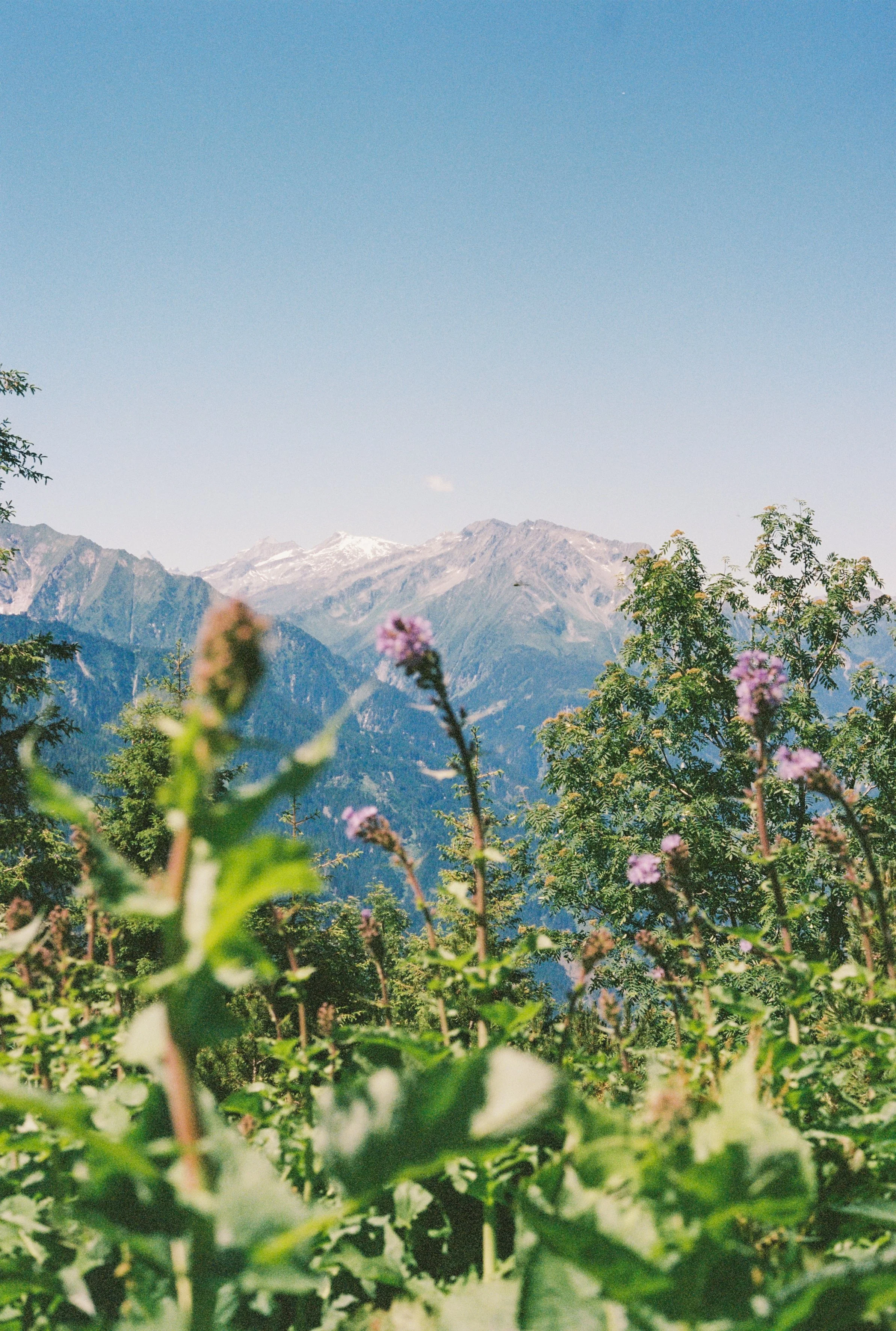 Neue post hotel Mayrhofen