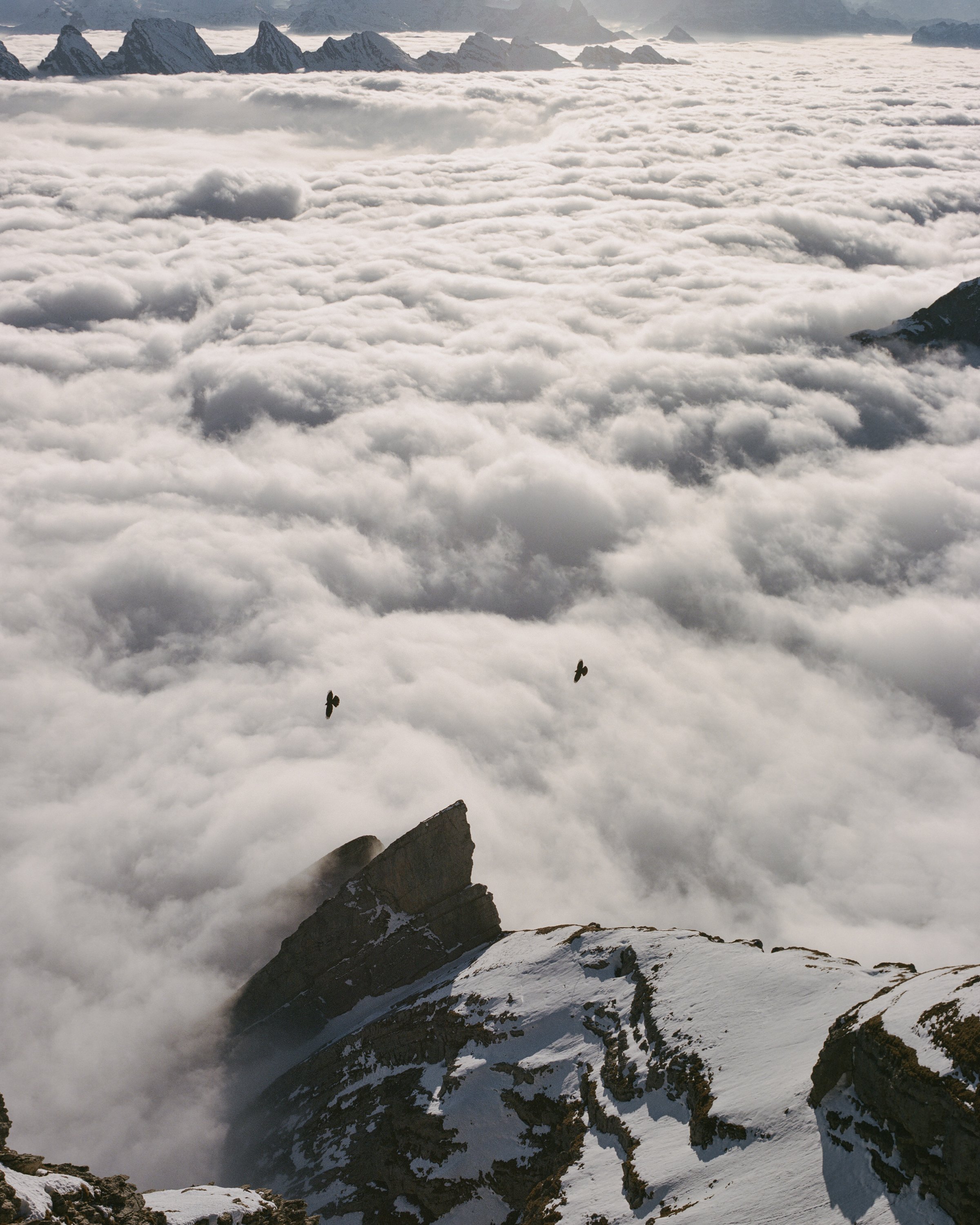 Eva Donckers_Today is a thousand seasons_18.jpg