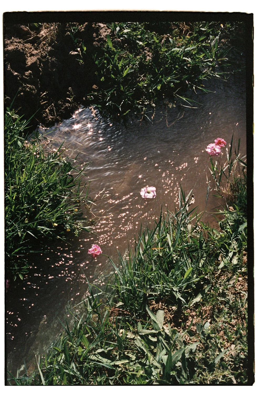 Rose Valley by Eva Donckers HR-64.jpg