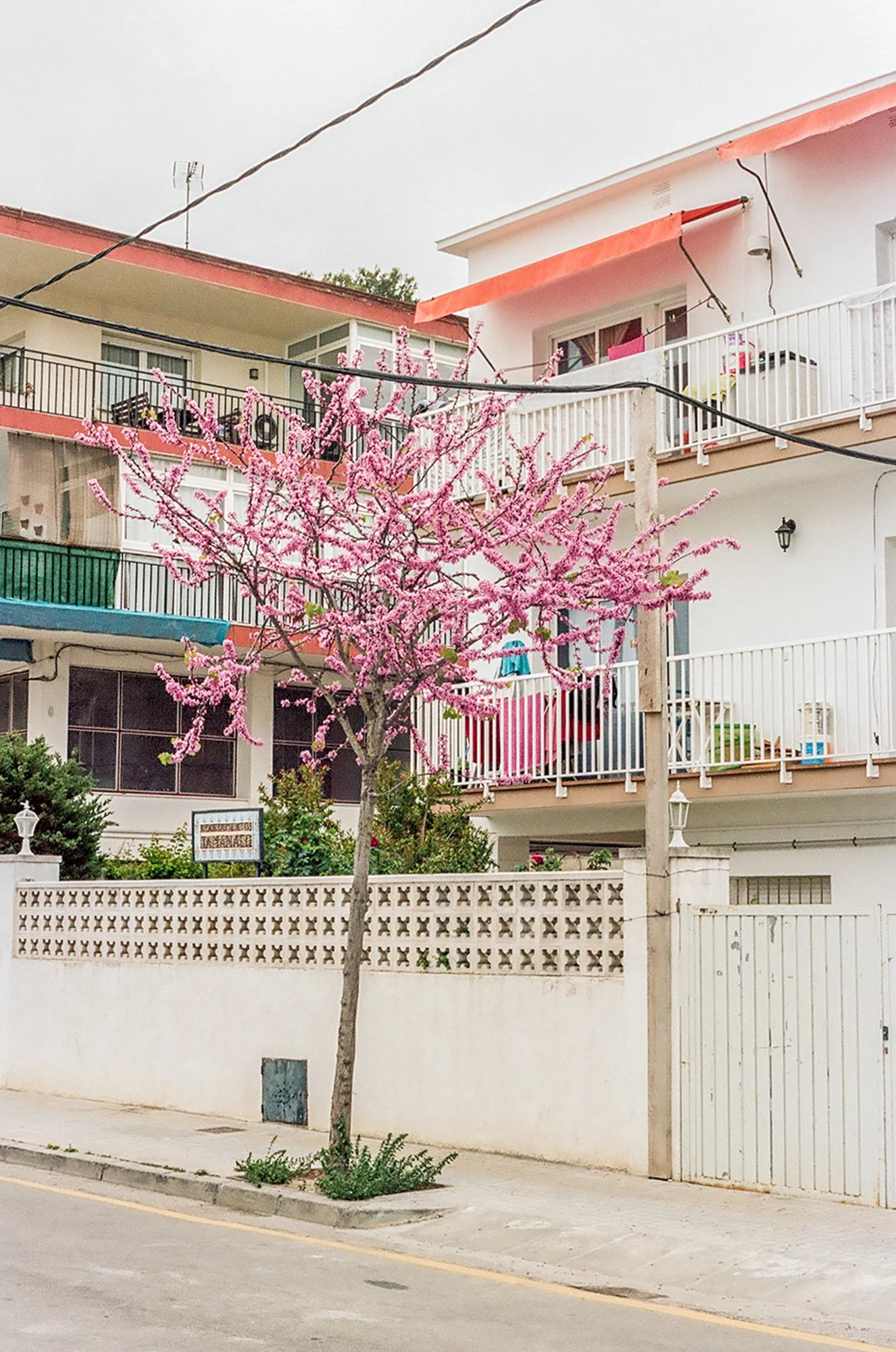 Stories by Eva Donckers LR--2.jpg