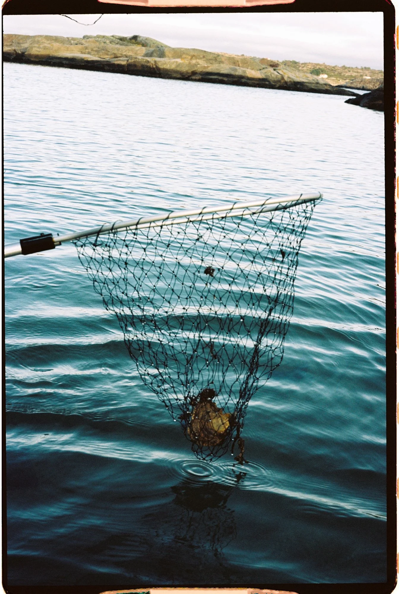 Stories by Eva Donckers LR--100.jpg