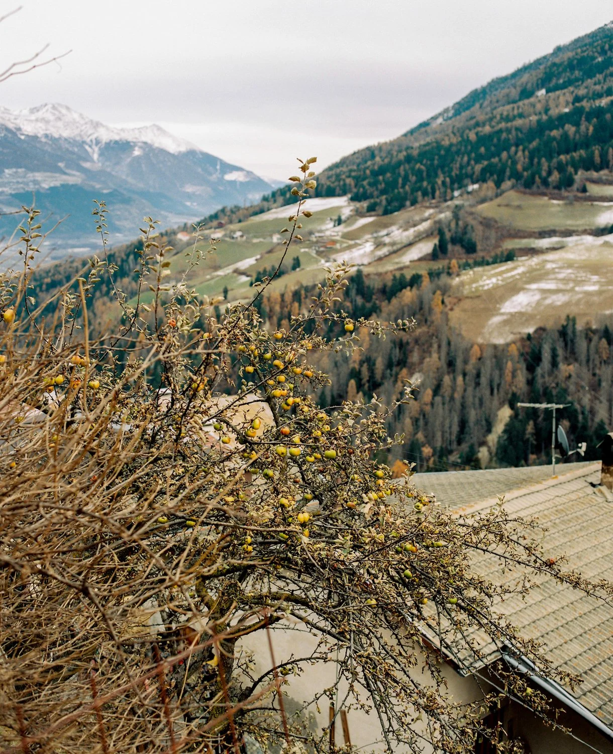 Mount Liminal_ by Eva Donckers12.jpg